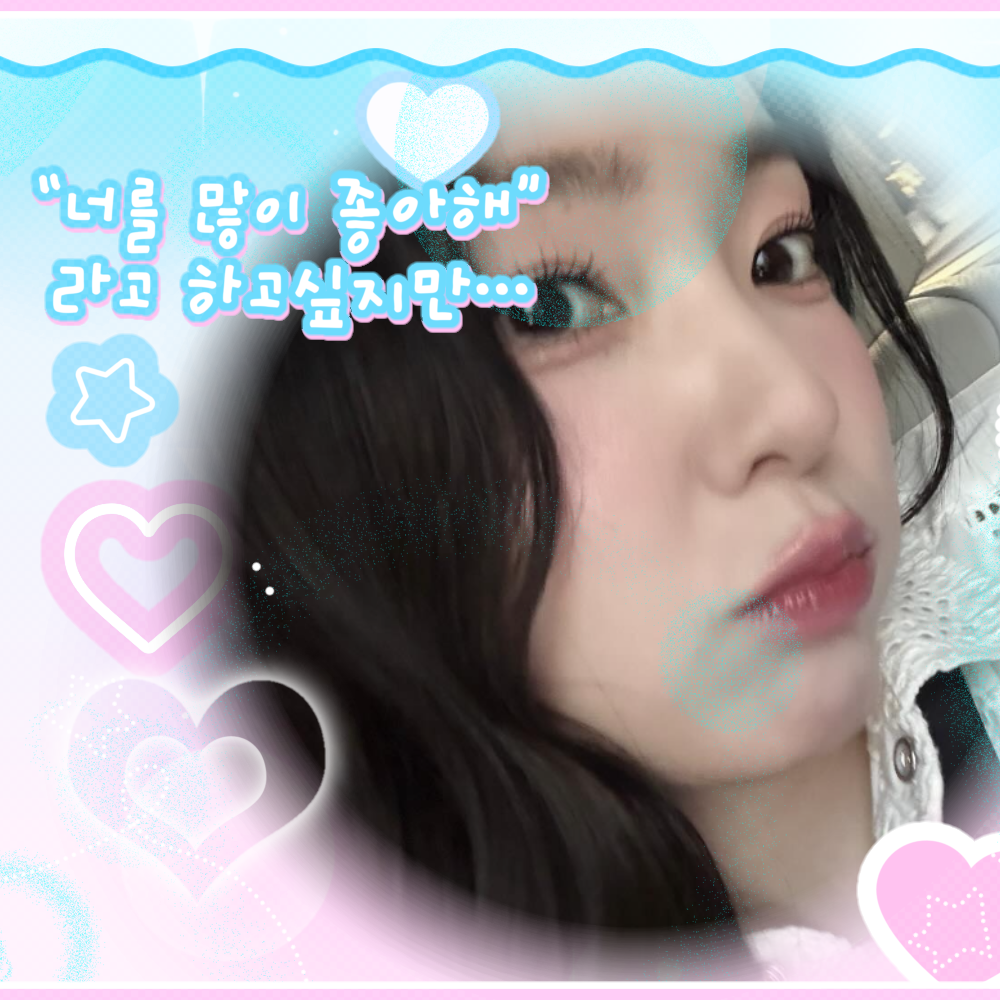 레드벨벳 팬이 찍은 순간