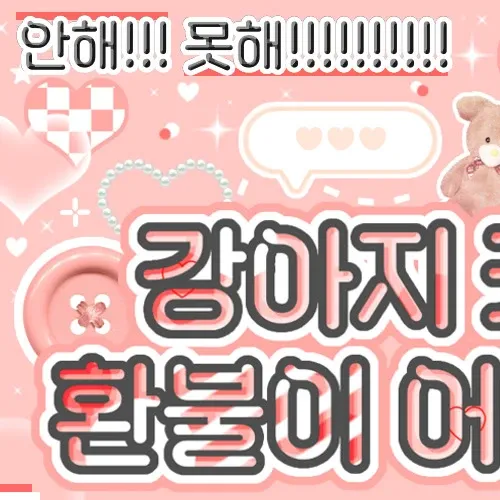 Leeseo (IVE)的最新活动照片