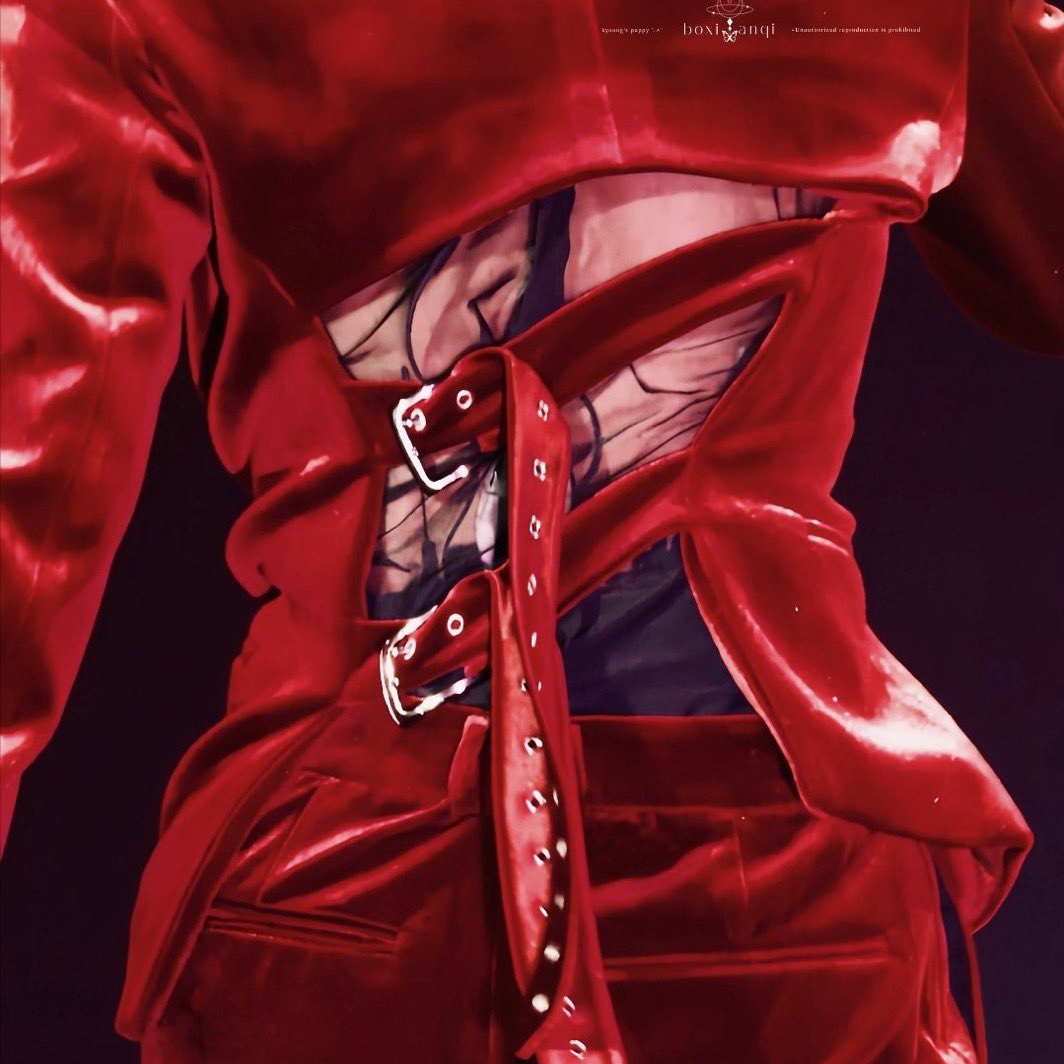 伯賢 (EXO)粉絲拍下的瞬間