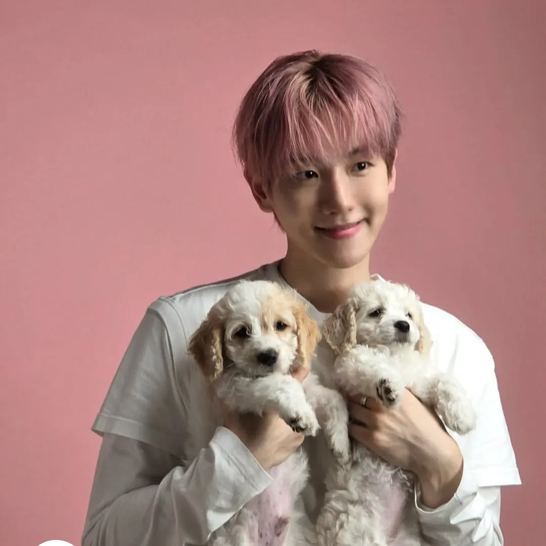 Recent activity shot of EXO
