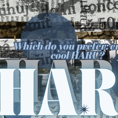 Behind-the-scenes cut of Haru (NEXZ)