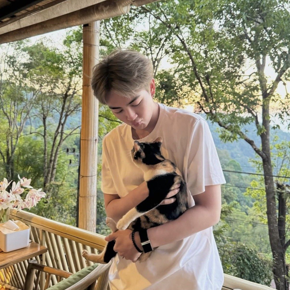 Latest photo of Heart (BUS)