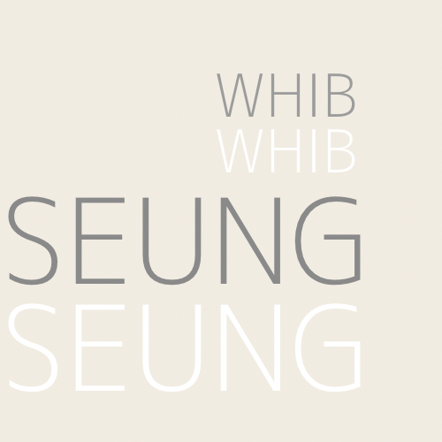 A moment captured by Haseung (WHIB)'s fan