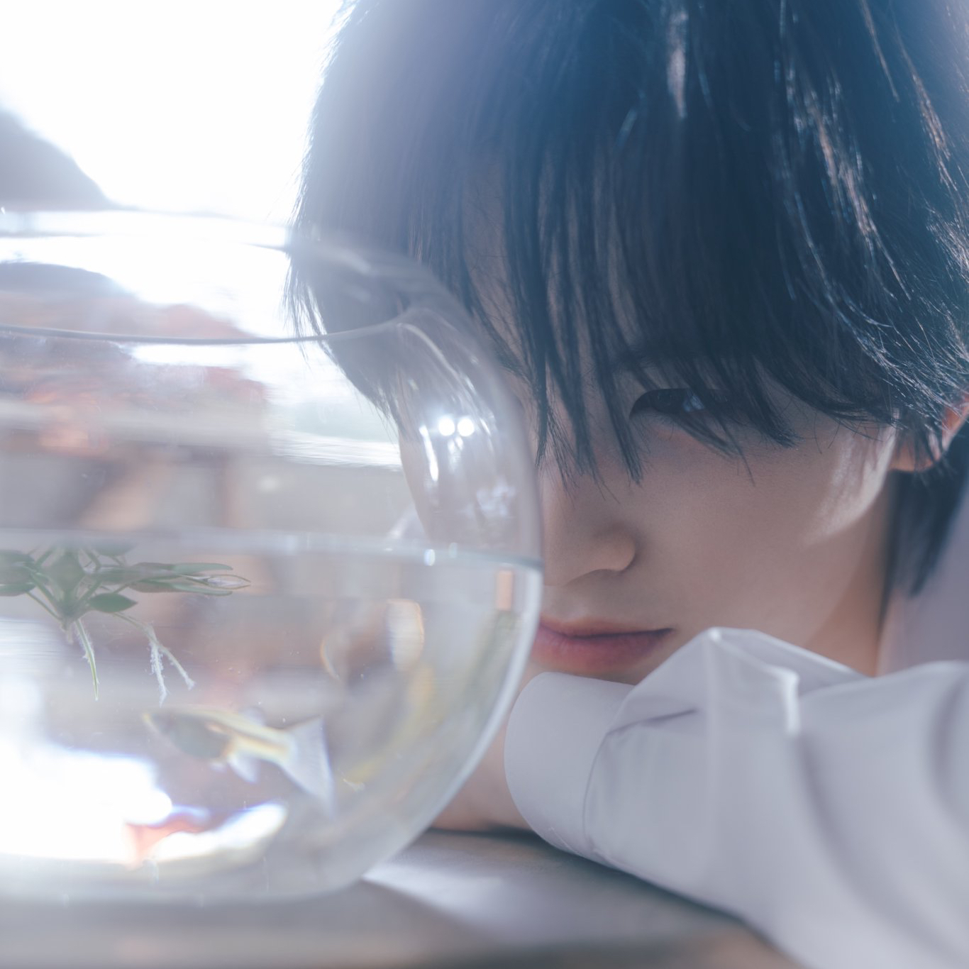 A moment captured by Aa (BUS)'s fan