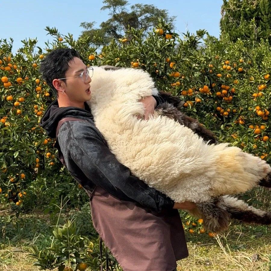 백호 최근 활동샷