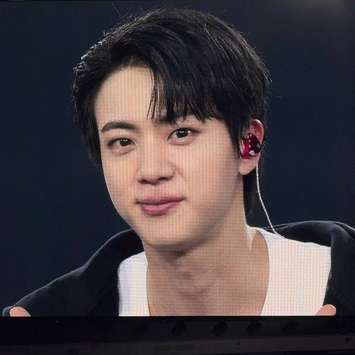 A moment captured by Jin (BTS)'s fan