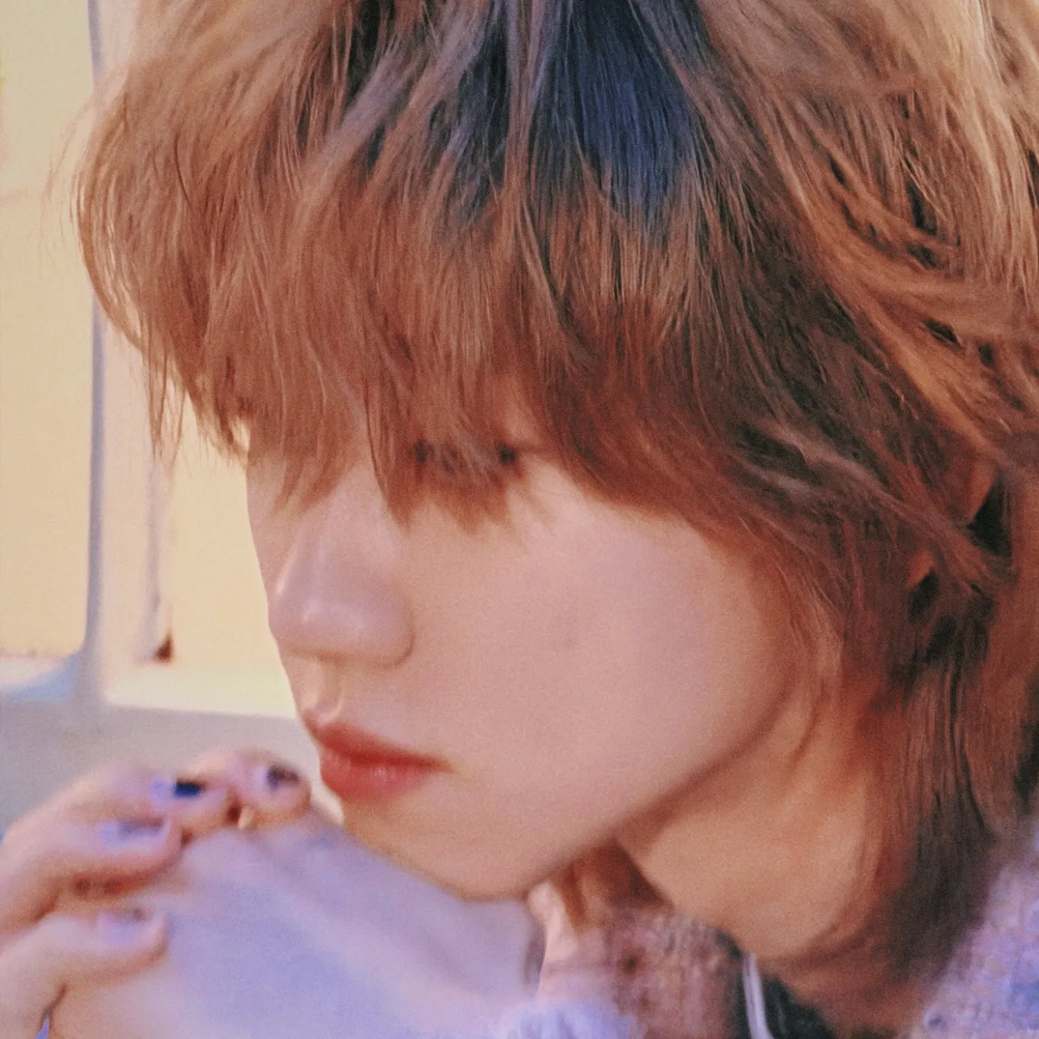 세븐틴 팬이 찍은 순간