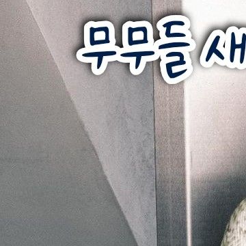 Foto terbaru Solar (MAMAMOO)