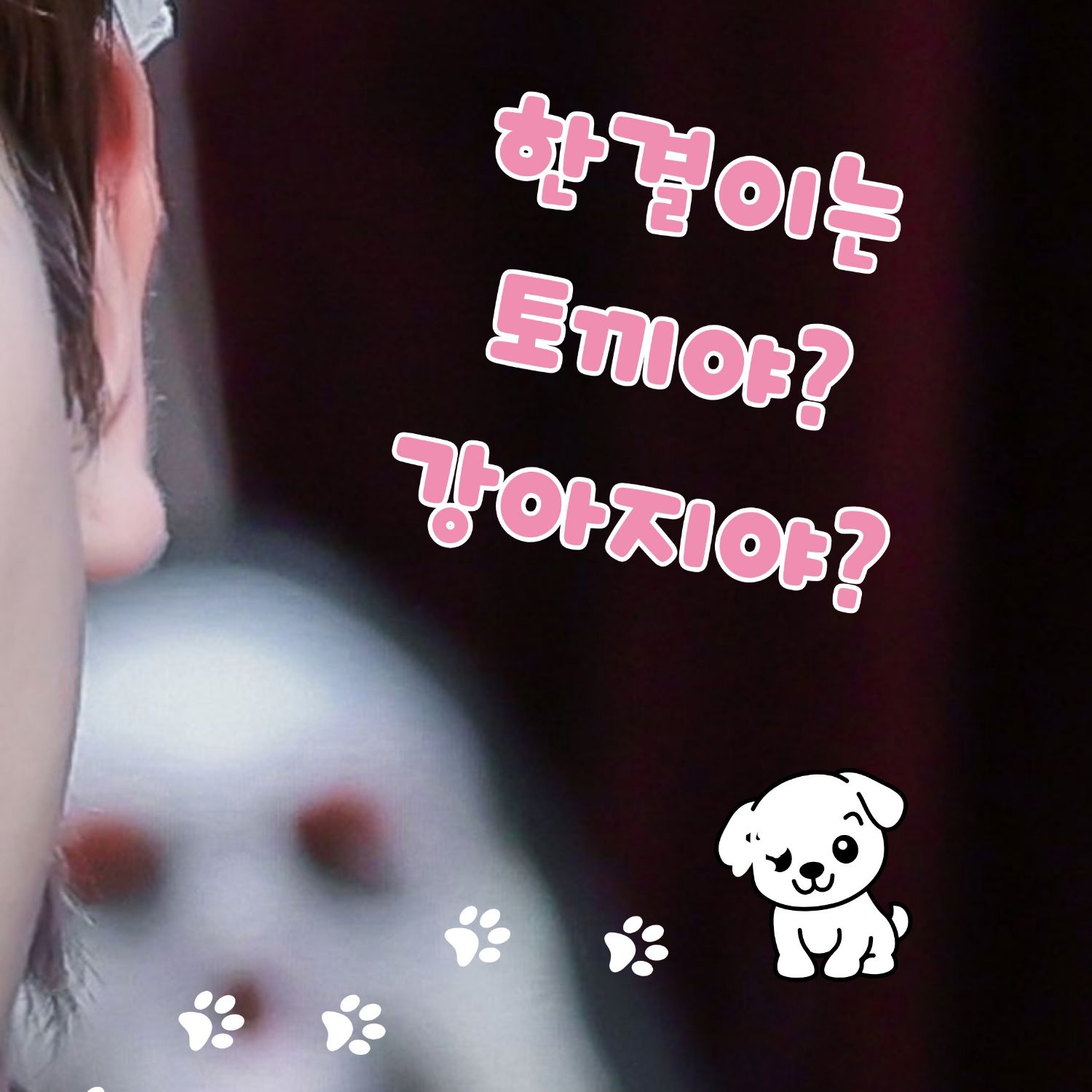 Latest photo of Hangyul (POLARIX)