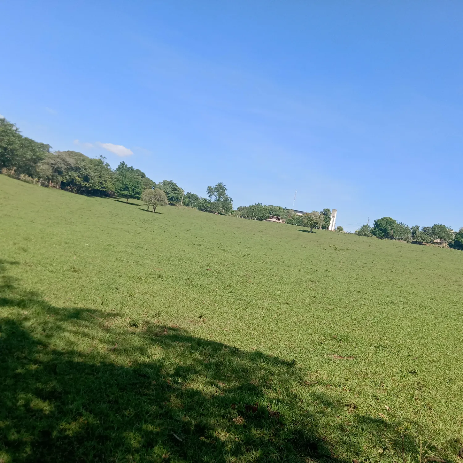 Foto aktivitas terbaru EXO