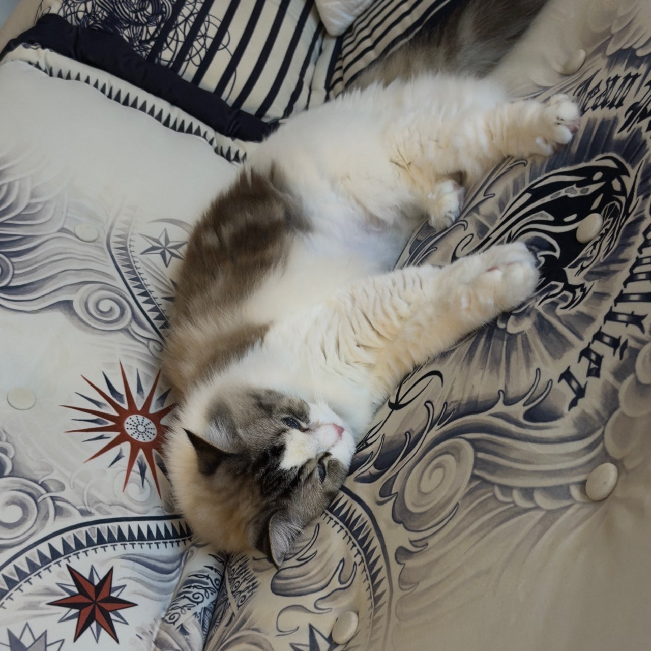 A moment captured by Jaemin (NCT DREAM)'s fan