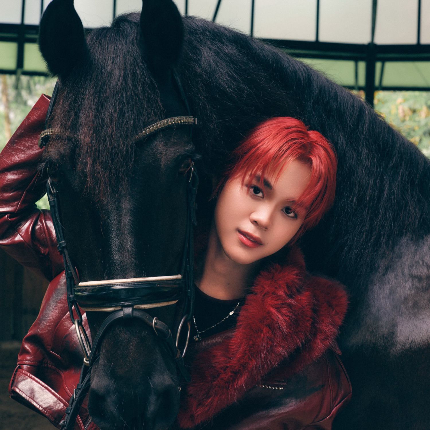 타이오 (NexT1DE)의 비하인드 컷