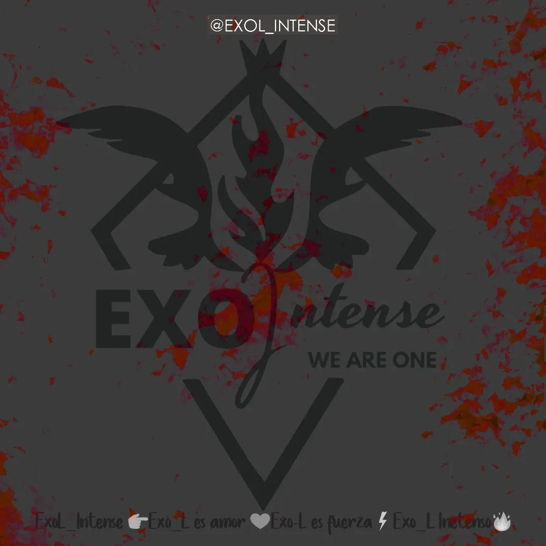 EXO 팬이 찍은 순간