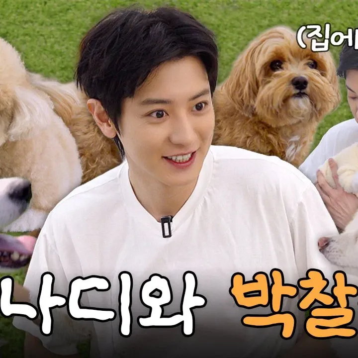 찬열 (EXO) 팬이 찍은 순간