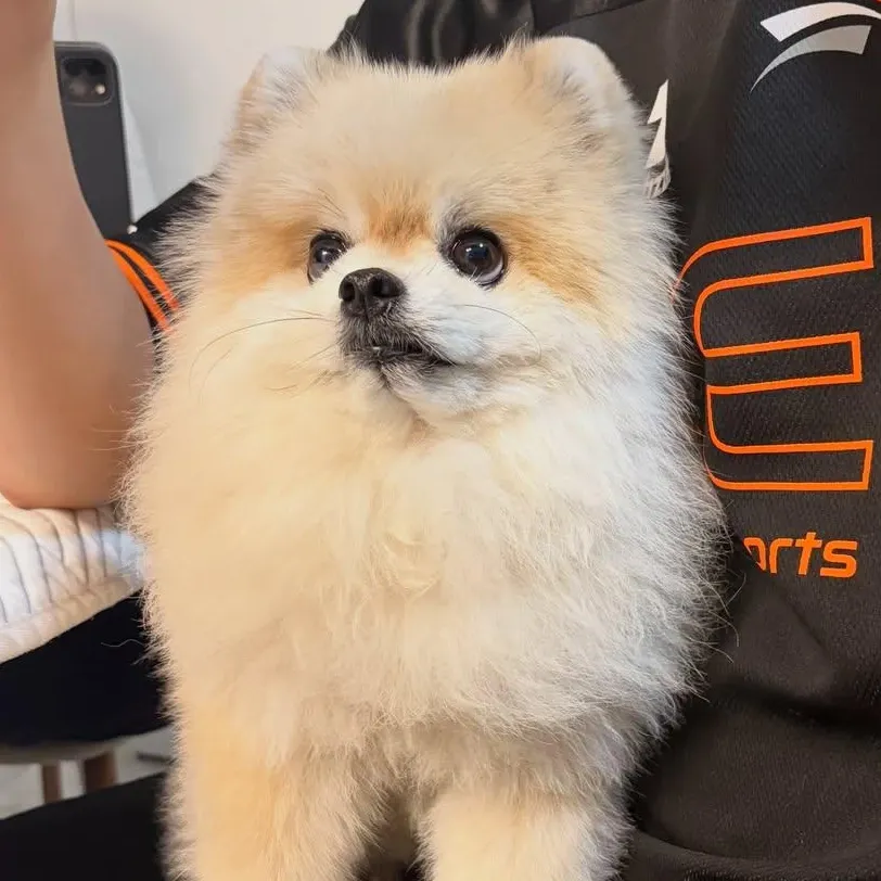 Recent activity shot of Moonbin (ASTRO)