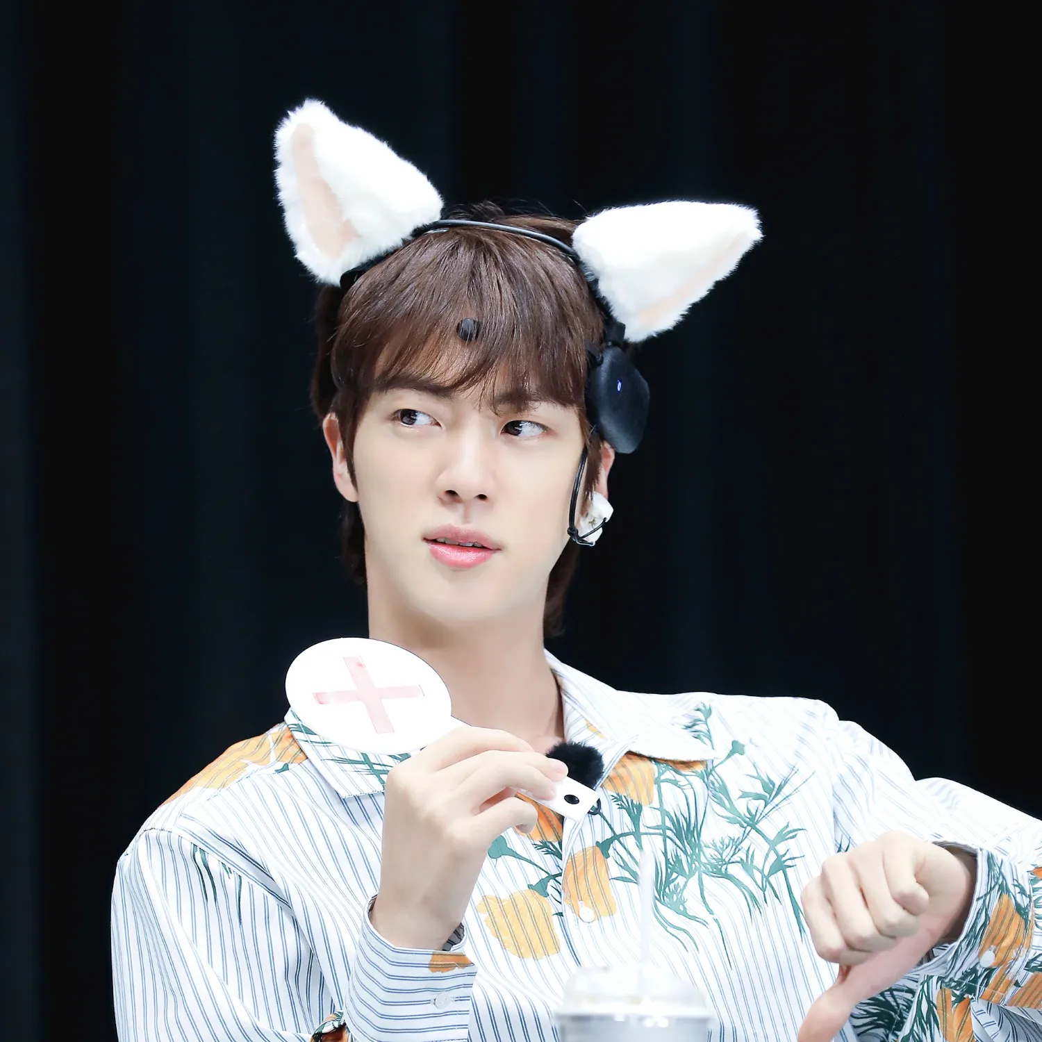 A moment captured by Jin (BTS)'s fan