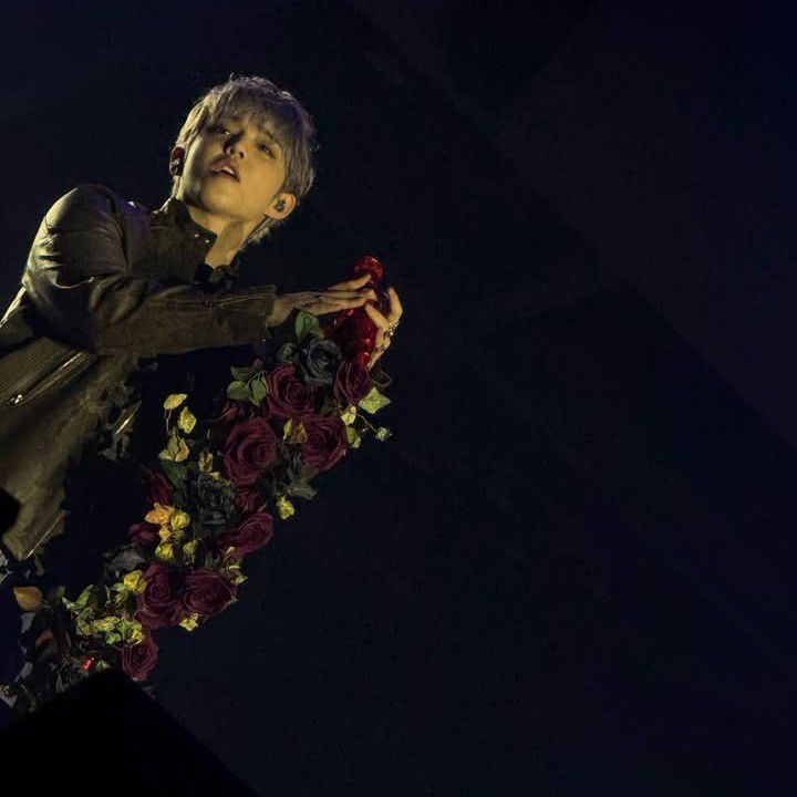 Recent activity shot of SEVENTEEN