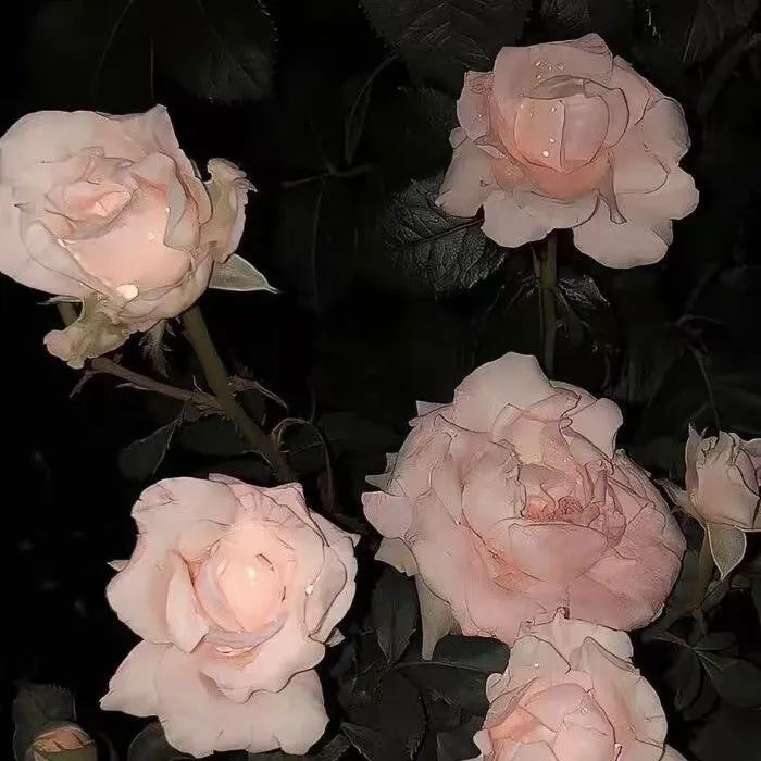 EXO的最新活动照片