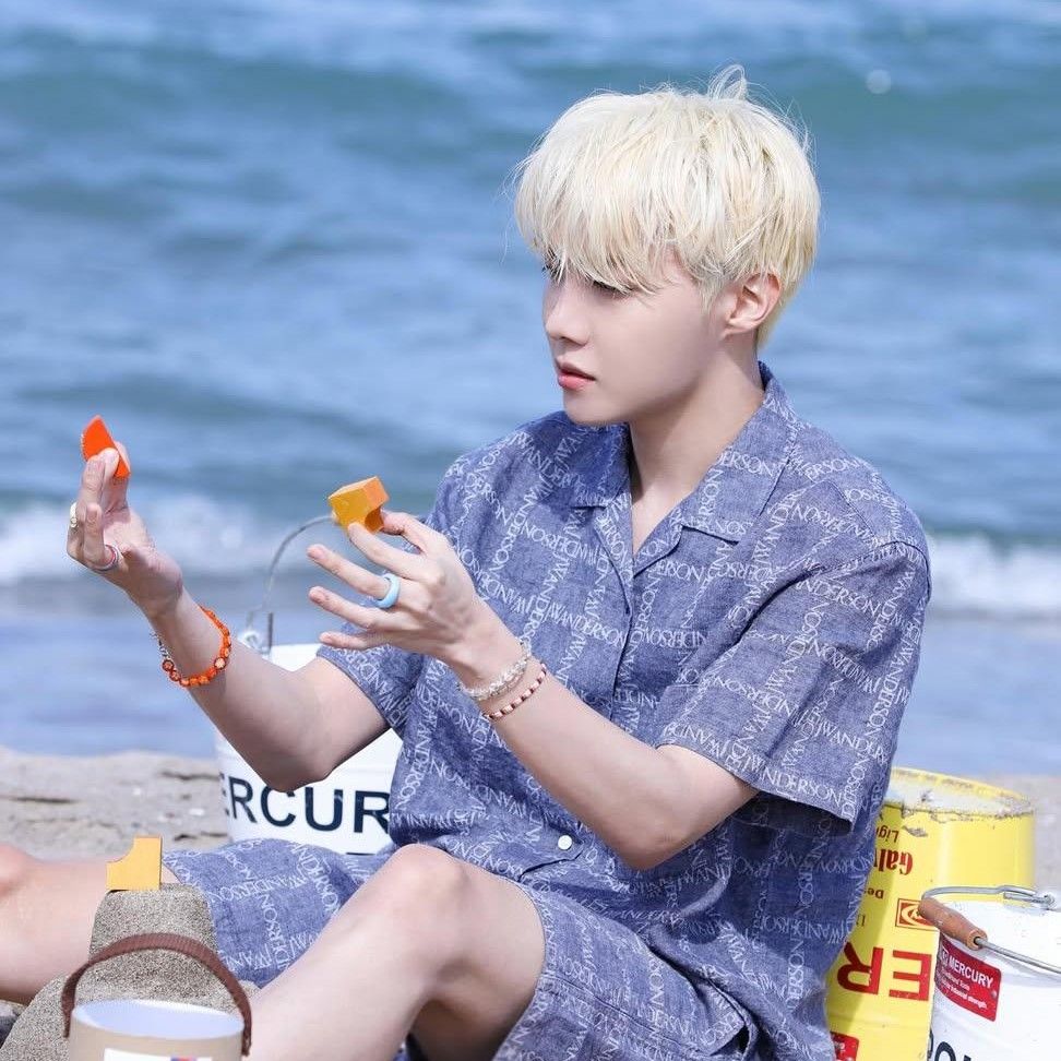 제이홉 (방탄소년단) 팬이 찍은 순간