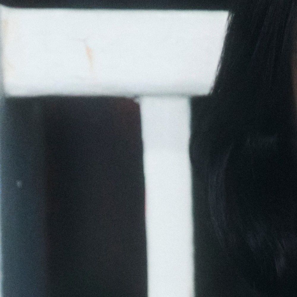 A moment captured by Loossemble's fan