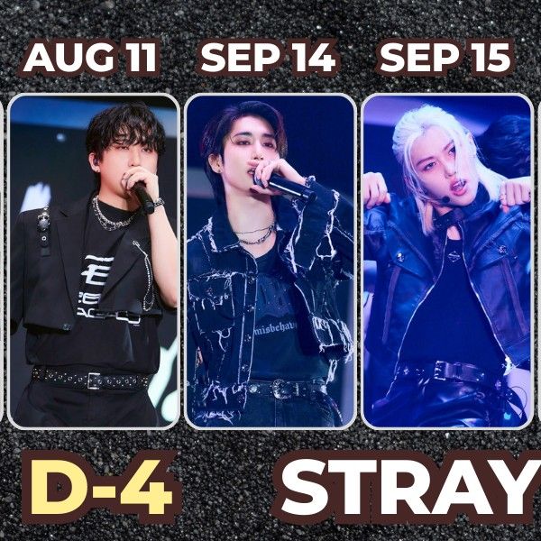 Stray Kidsの最近の活動写真