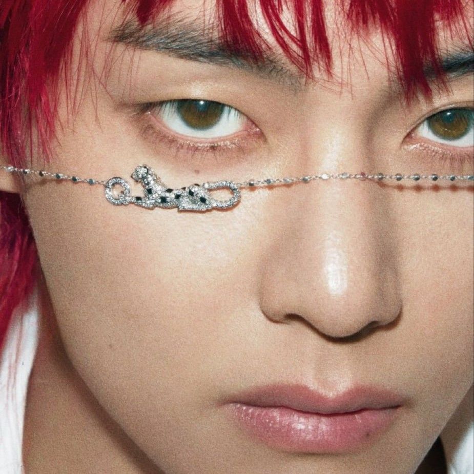 Behind-the-scenes cut of V (BTS)