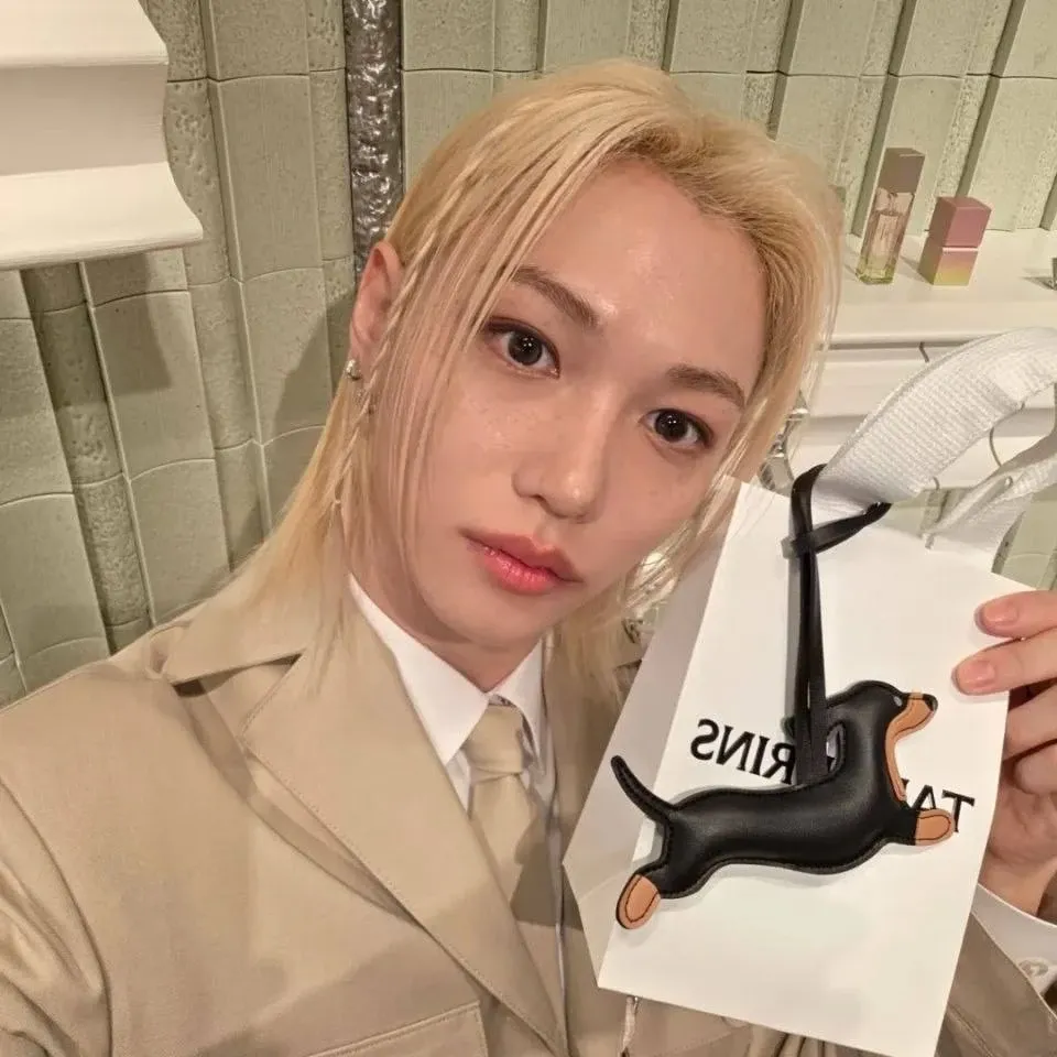 Recent activity shot of Felix (Stray Kids)