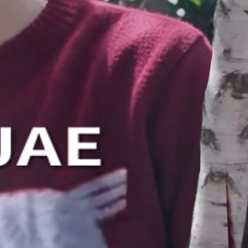 A moment captured by Hyunjae (THE BOYZ)'s fan