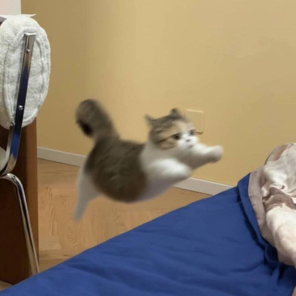 EXO의 비하인드 컷