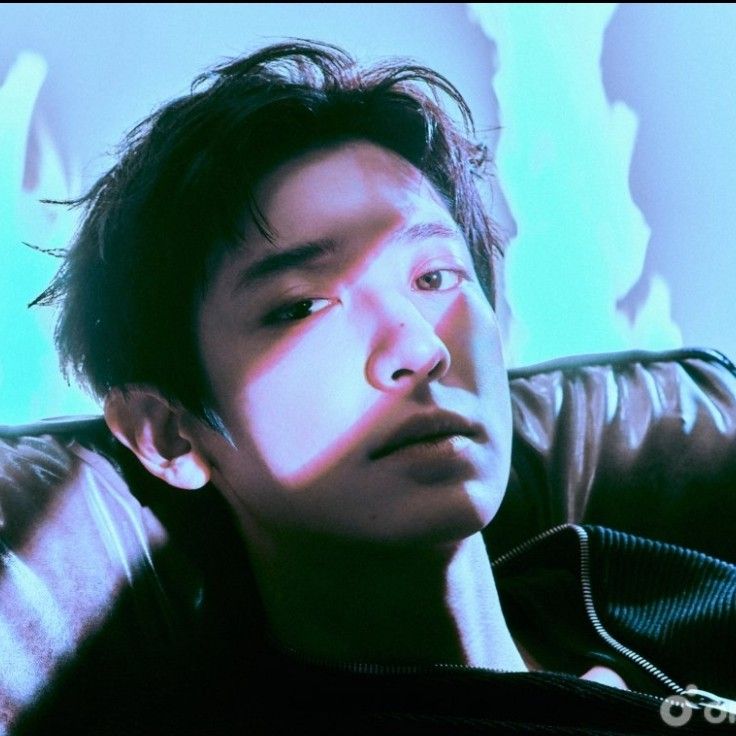 燦烈 (EXO)的最新活動照片