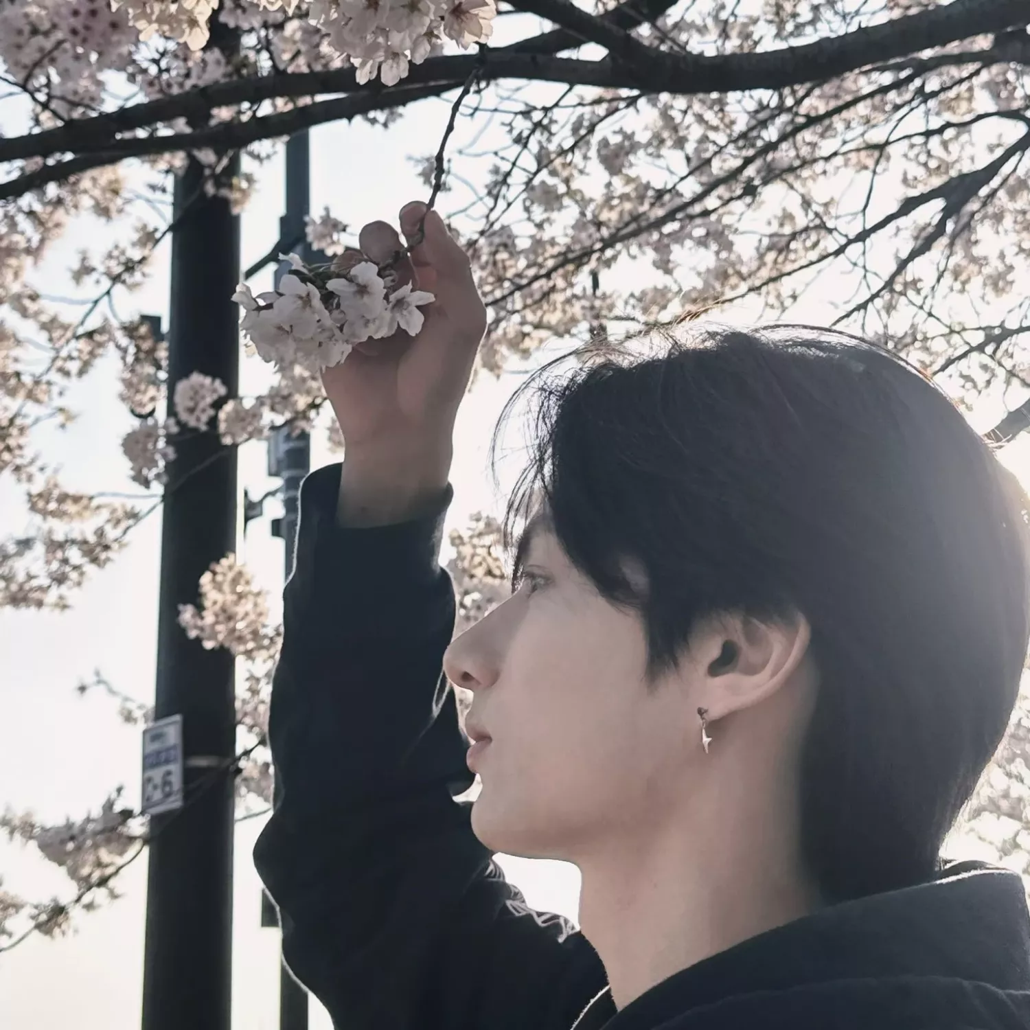 Recent activity shot of Jun (SEVENTEEN)