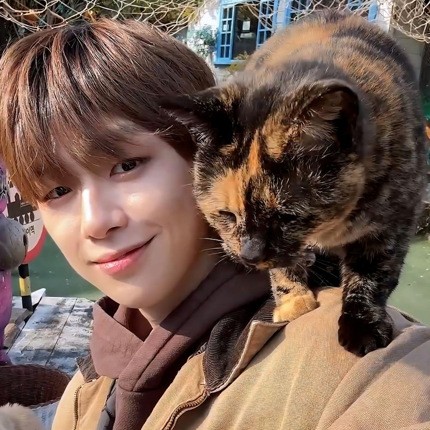 姜丹尼爾的最新照片