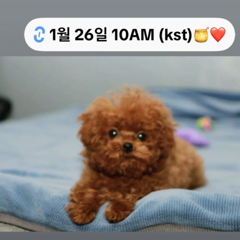 Behind-the-scenes cut of Wow (A.C.E)