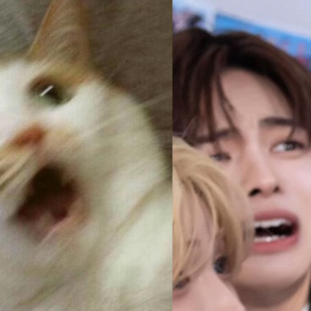 Behind-the-scenes cut of Lee Leo (ALPHA DRIVE ONE)