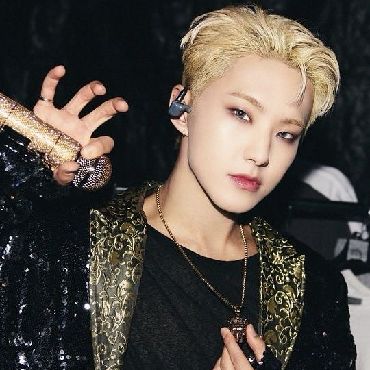 A moment captured by Hoshi (SEVENTEEN)'s fan