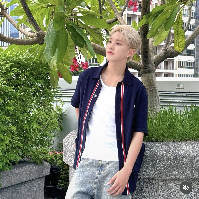 A moment captured by Hoshi (SEVENTEEN)'s fan