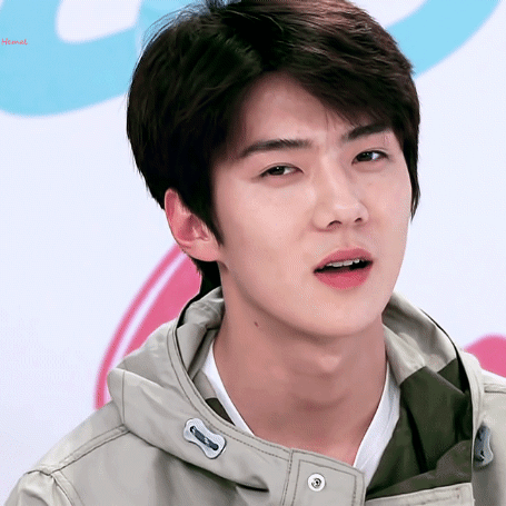 세훈 (EXO) 팬이 찍은 순간