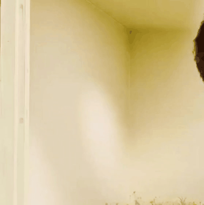 샤오잔의 최신 사진