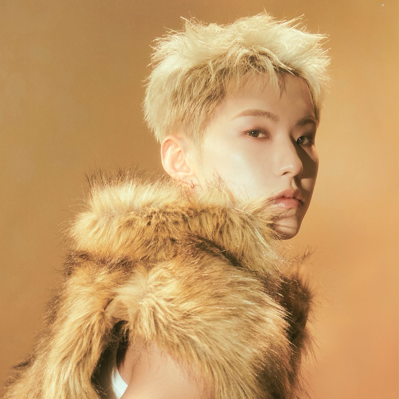 Latest photo of Hoshi (SEVENTEEN)