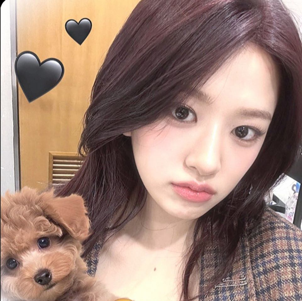 안유진 (IVE)의 최신 사진