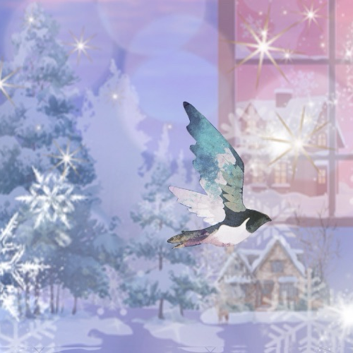 K-POP posts beloved by 세이타 (NEXZ) fans