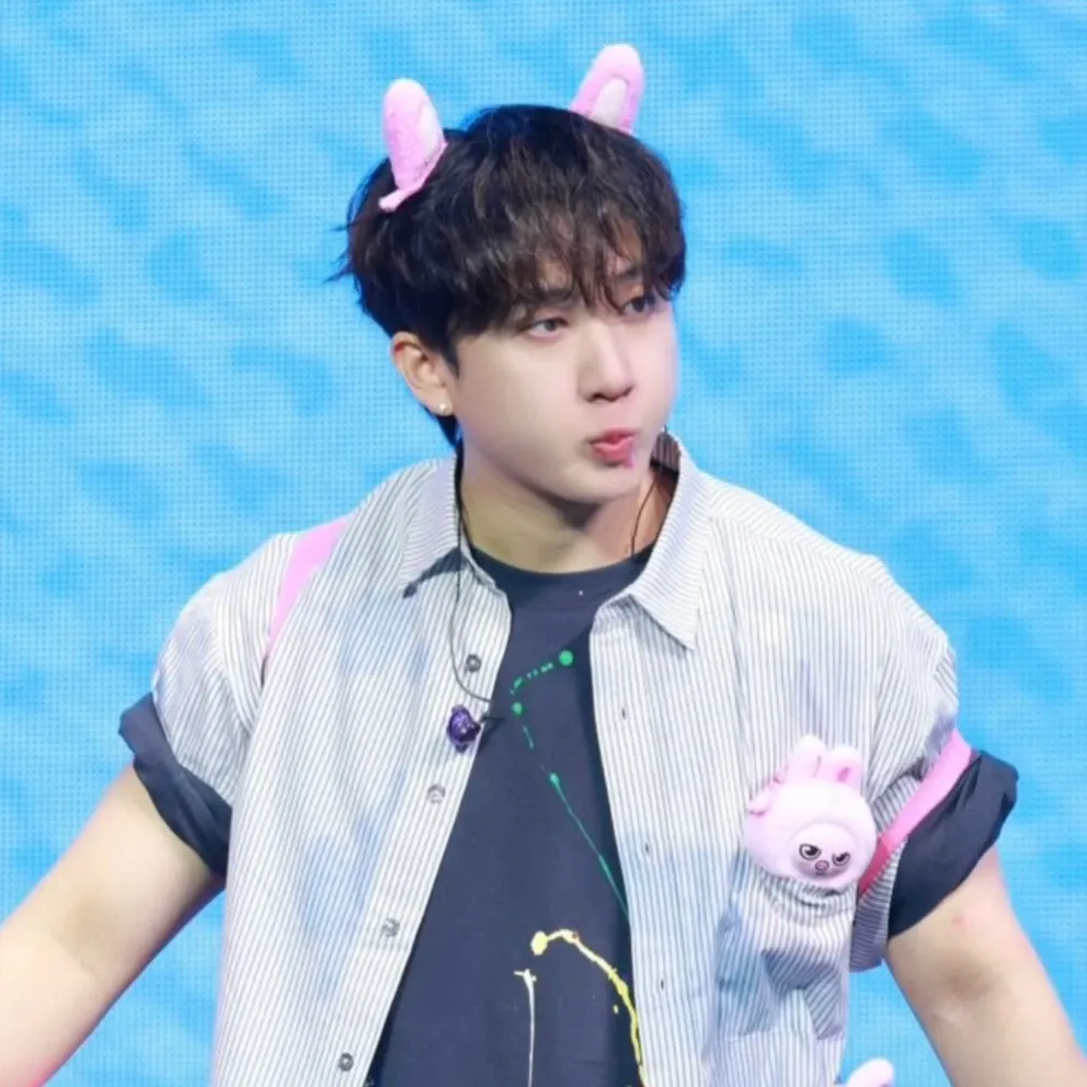 Stray Kids 팬이 찍은 순간