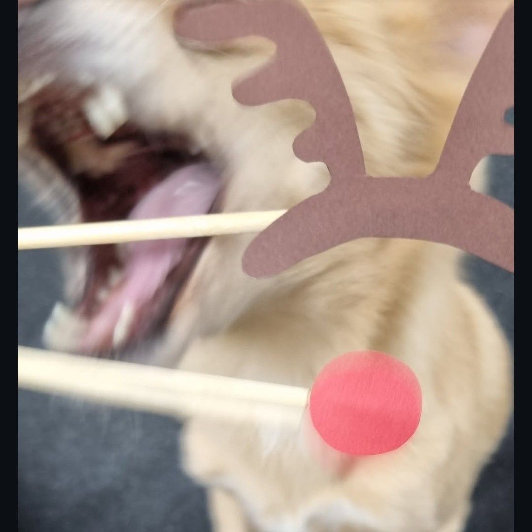 子瑜 (TWICE)粉絲拍下的瞬間