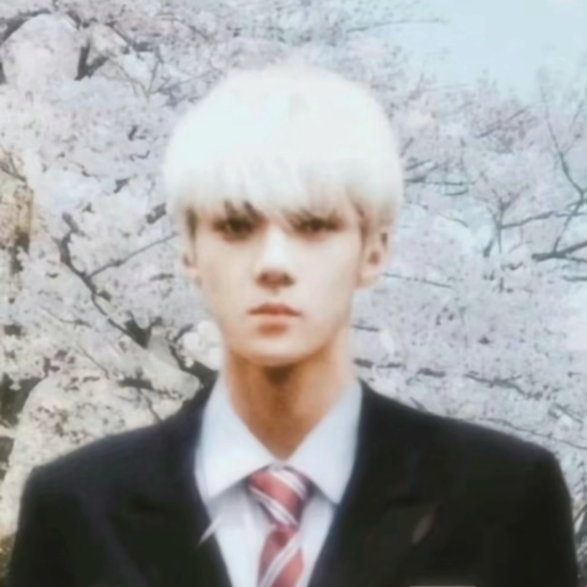 세훈 (EXO) 팬이 찍은 순간