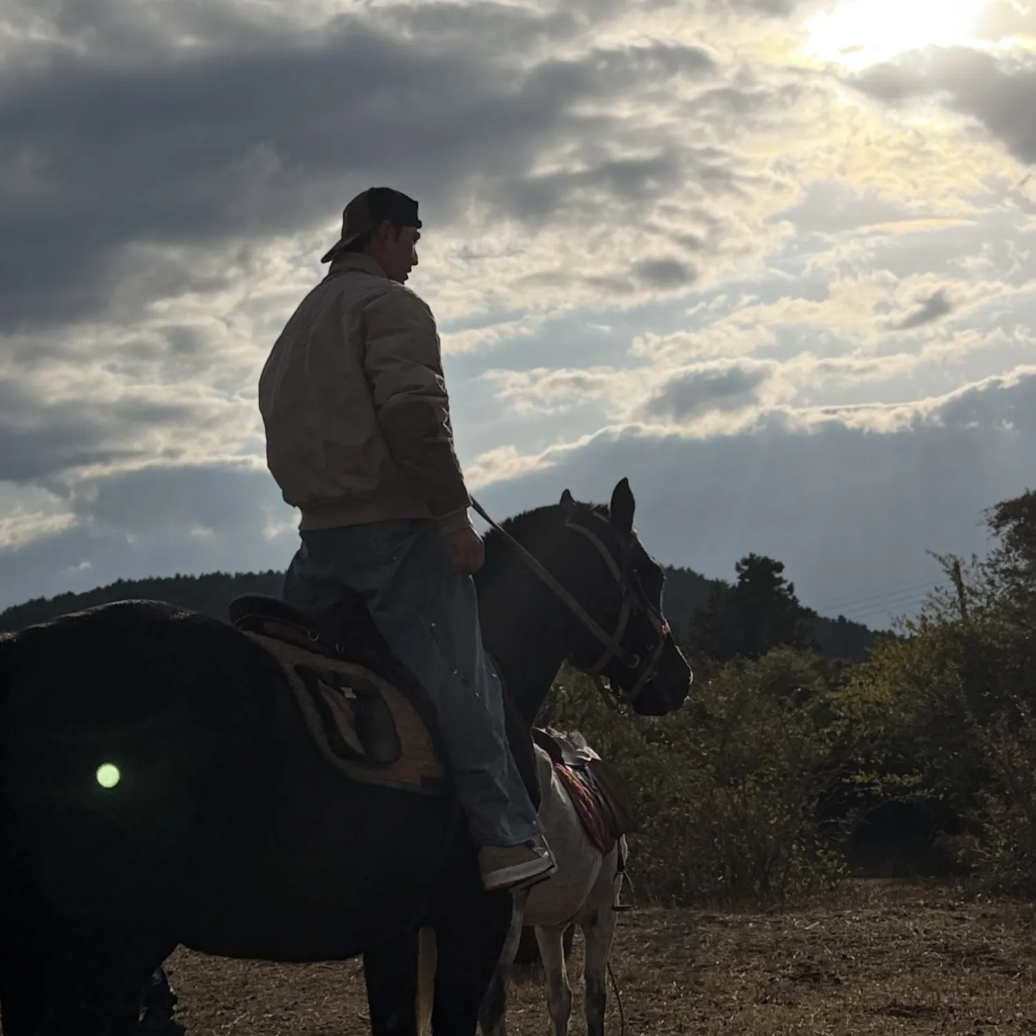 백호의 최신 사진