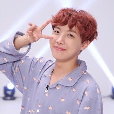 제이홉 (방탄소년단) 팬이 찍은 순간