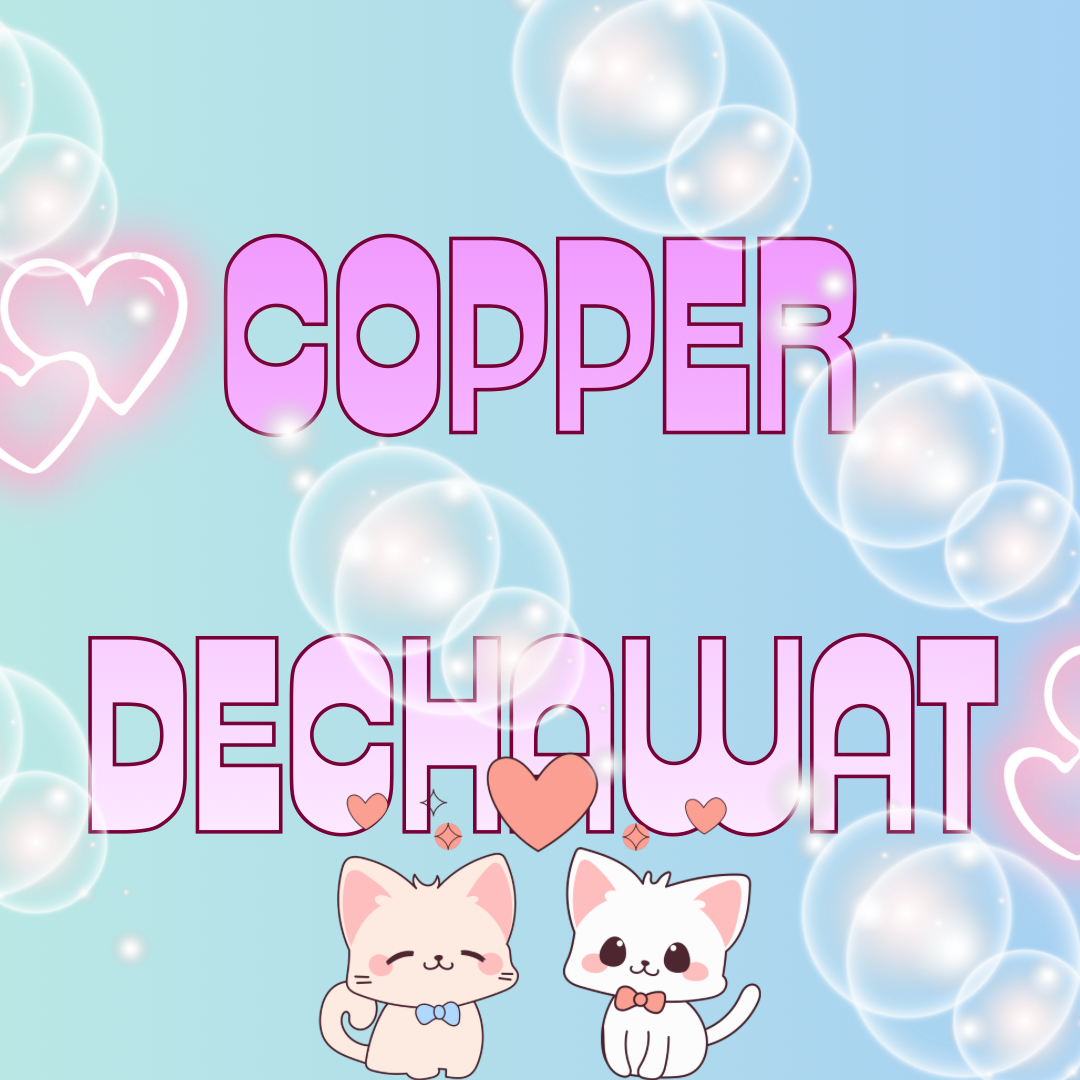 코퍼 (BUS) 팬이 찍은 순간