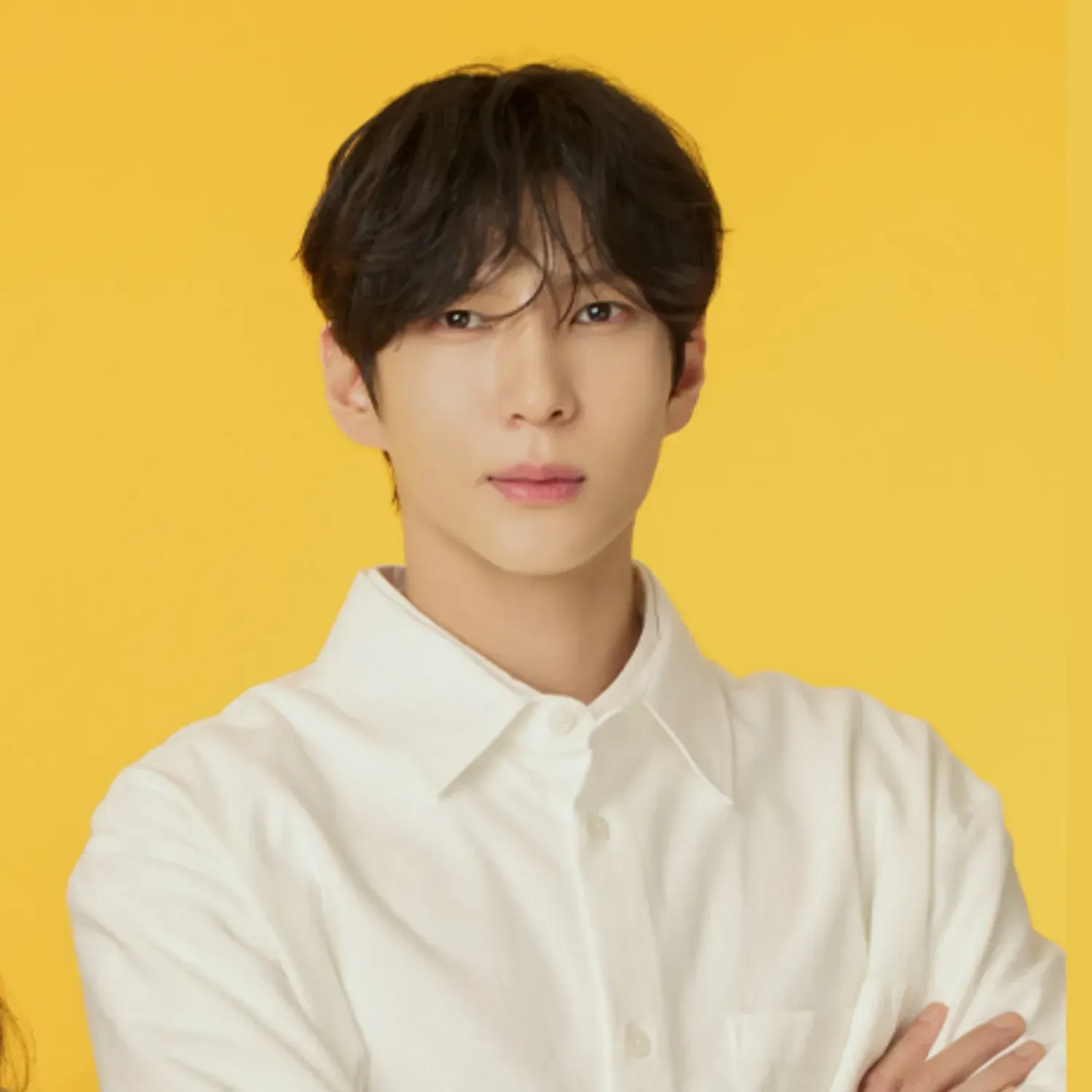 Recent activity shot of LEO (VIXX)