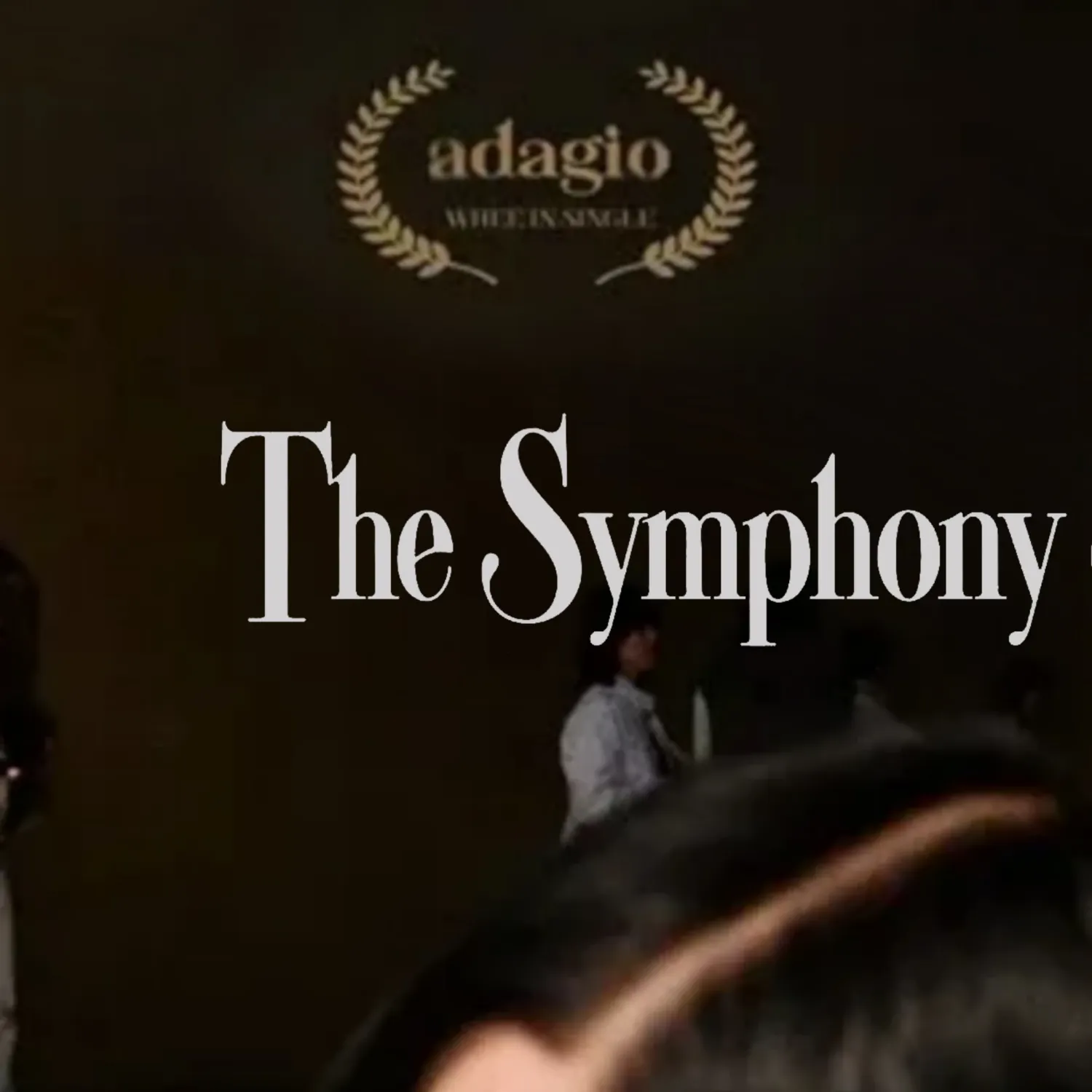 辉人 (MAMAMOO)粉丝拍下的瞬间