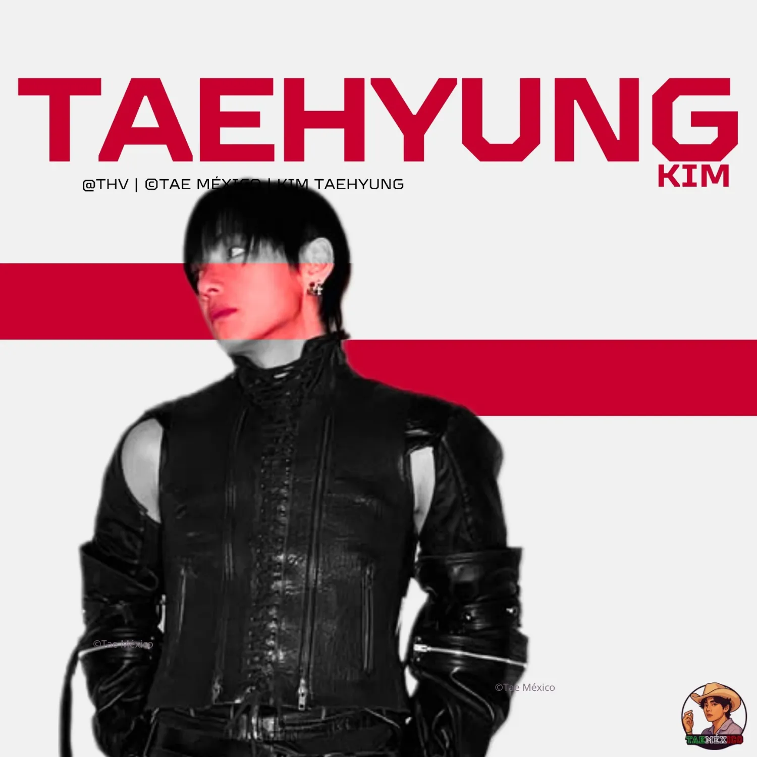 Potret di balik layar V (BTS)